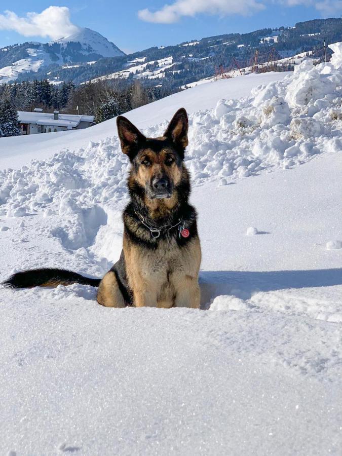 Hotel Garni Wieshof Kirchberg in Tirol Eksteriør billede